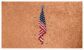 DNSEMP-C-421-SH-CP Flag at Rest Shimmer Copper